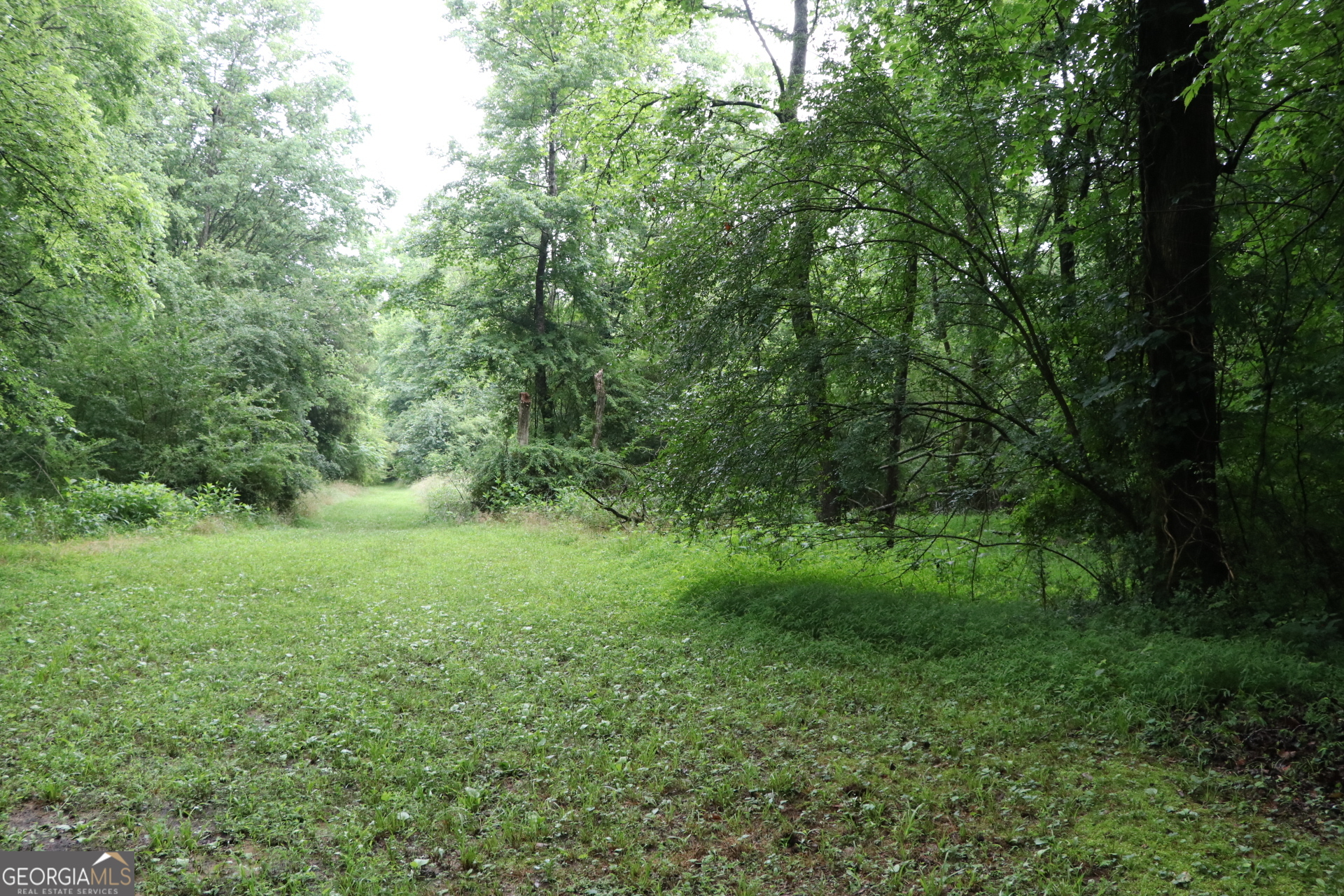 833 Neal Gap Road Summerville, GA 30747 - Photo 41 of 86
