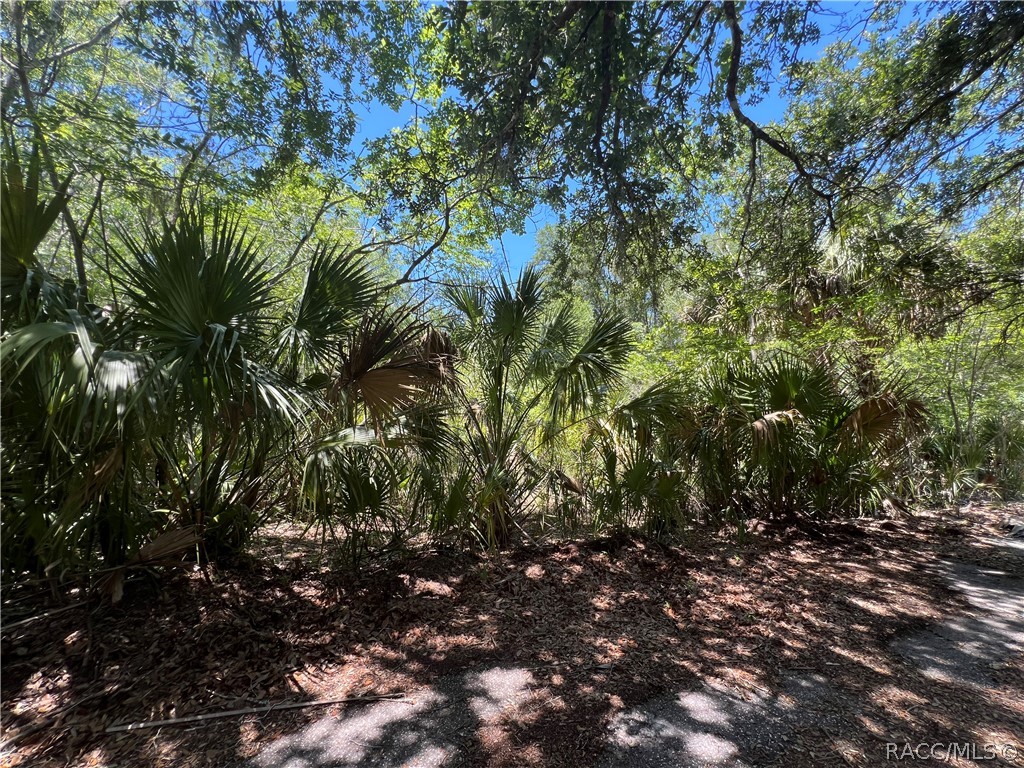 384 North Staff Point Inverness, FL 34450 - Photo 10 of 13