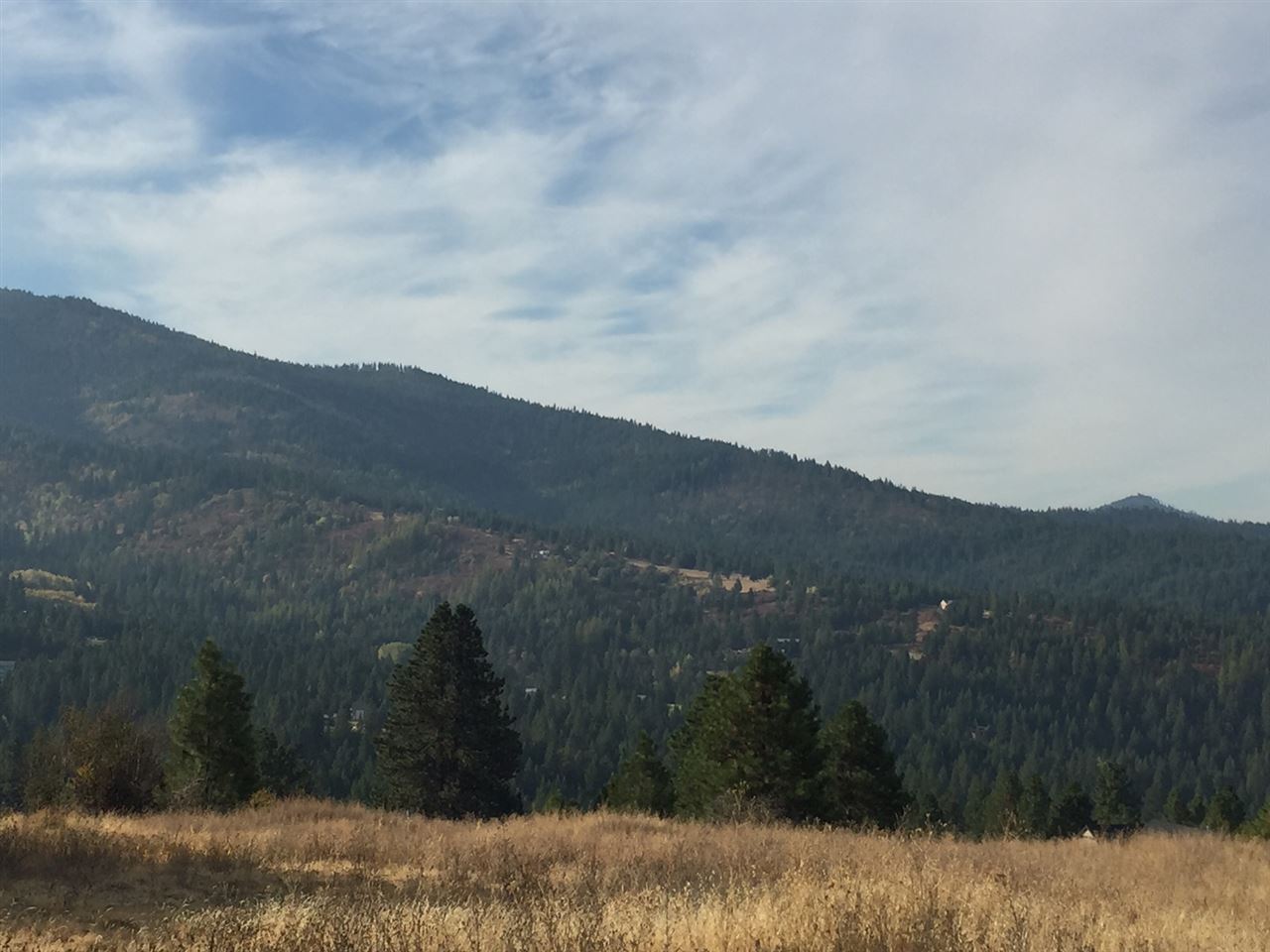 0 South Quinimose Road Liberty Lake, WA 99019 - Photo 2 of 12 Gallery Image 2