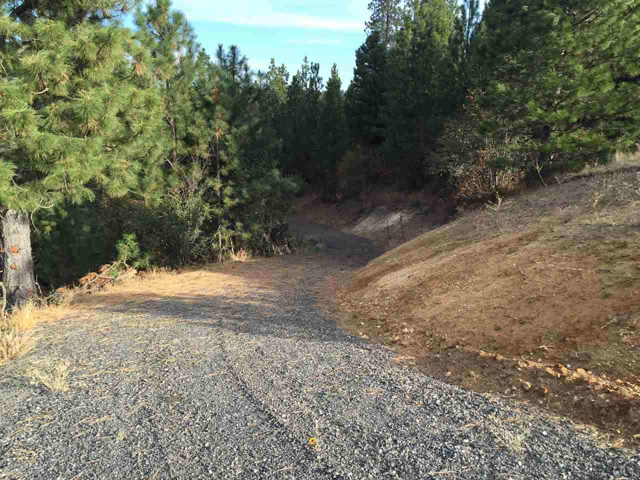0 South Quinimose Road Liberty Lake, WA 99019 - Photo 11 of 12 Gallery Image 11