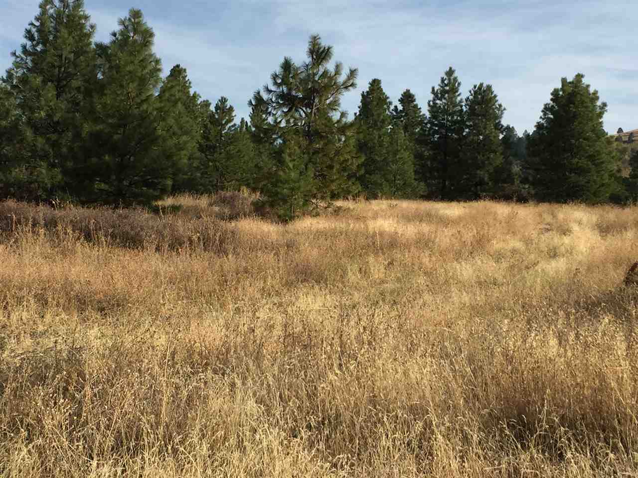 0 South Quinimose Road Liberty Lake, WA 99019 - Photo 3 of 12 Gallery Image 3