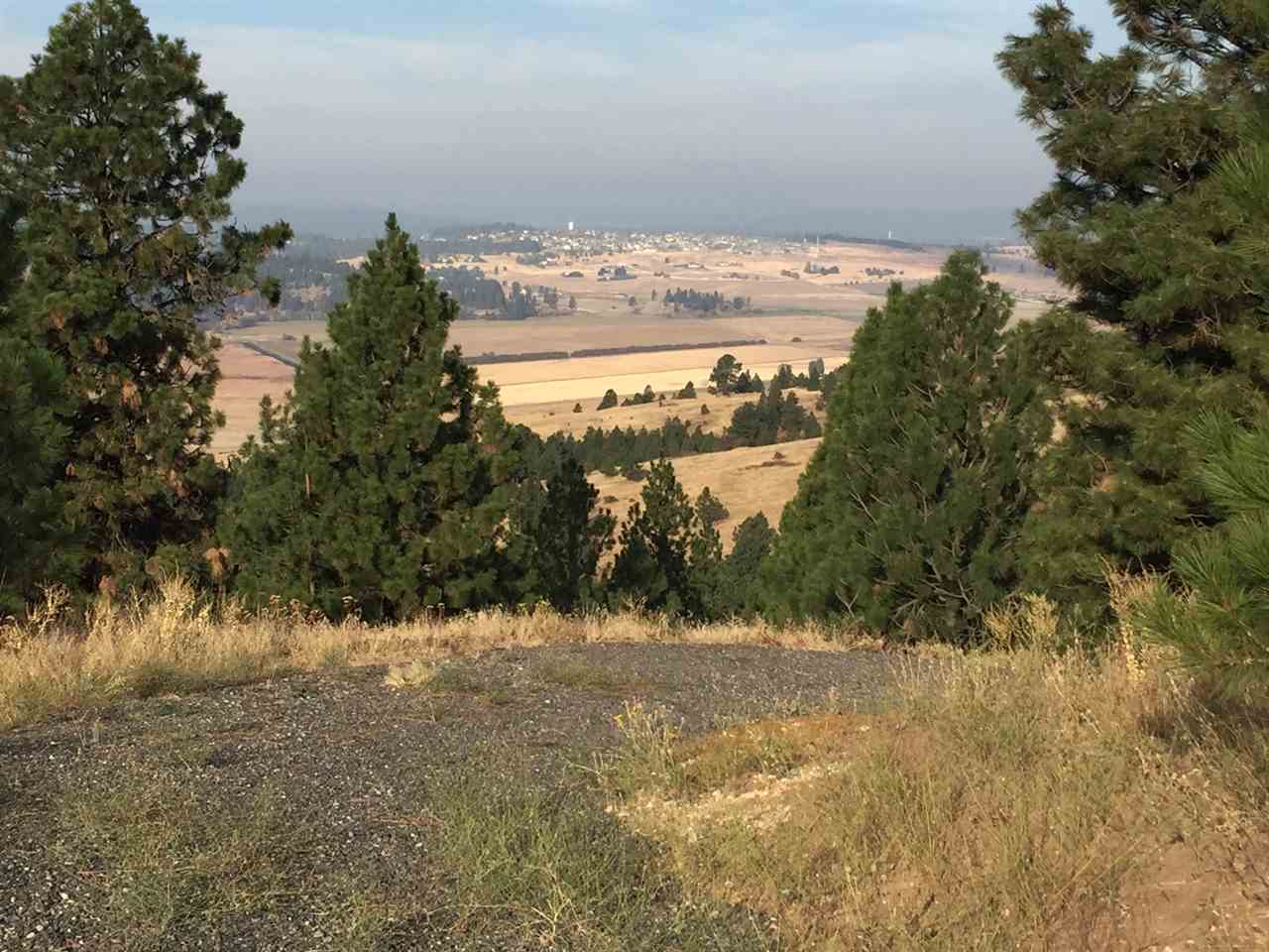 0 South Quinimose Road Liberty Lake, WA 99019 - Photo 4 of 12 Gallery Image 4