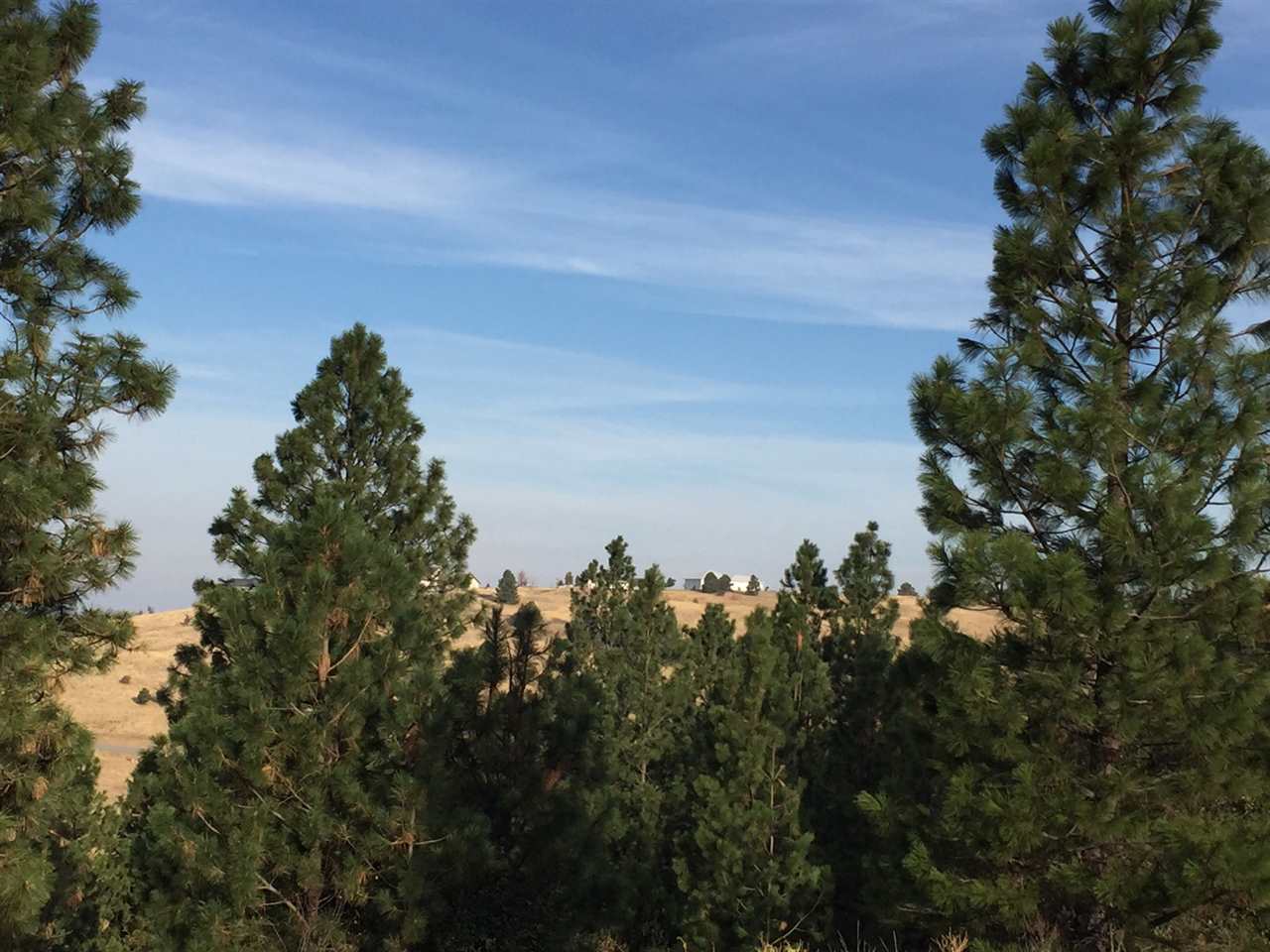 0 South Quinimose Road Liberty Lake, WA 99019 - Photo 5 of 12 Gallery Image 5