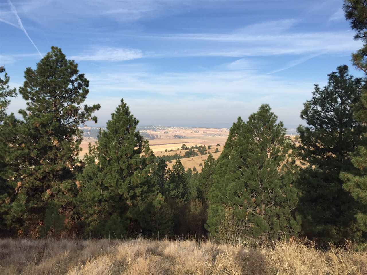 0 South Quinimose Road Liberty Lake, WA 99019 - Photo 7 of 12 Gallery Image 7