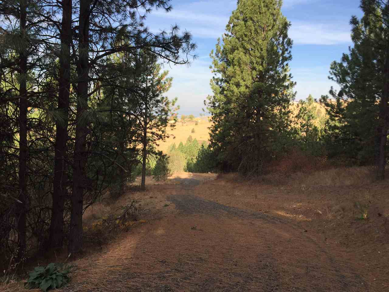 0 South Quinimose Road Liberty Lake, WA 99019 - Photo 8 of 12 Gallery Image 8