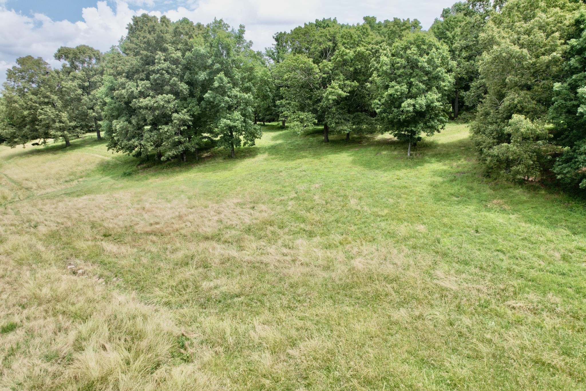 0 Crowder Road Lawrenceburg, TN 38464 - Photo 10 of 58