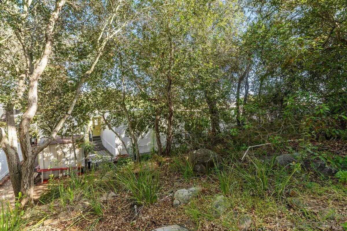 4747 Oak Crest Road, Unit 39 Fallbrook, CA 92028 - Photo 31 of 38 a view of a forest