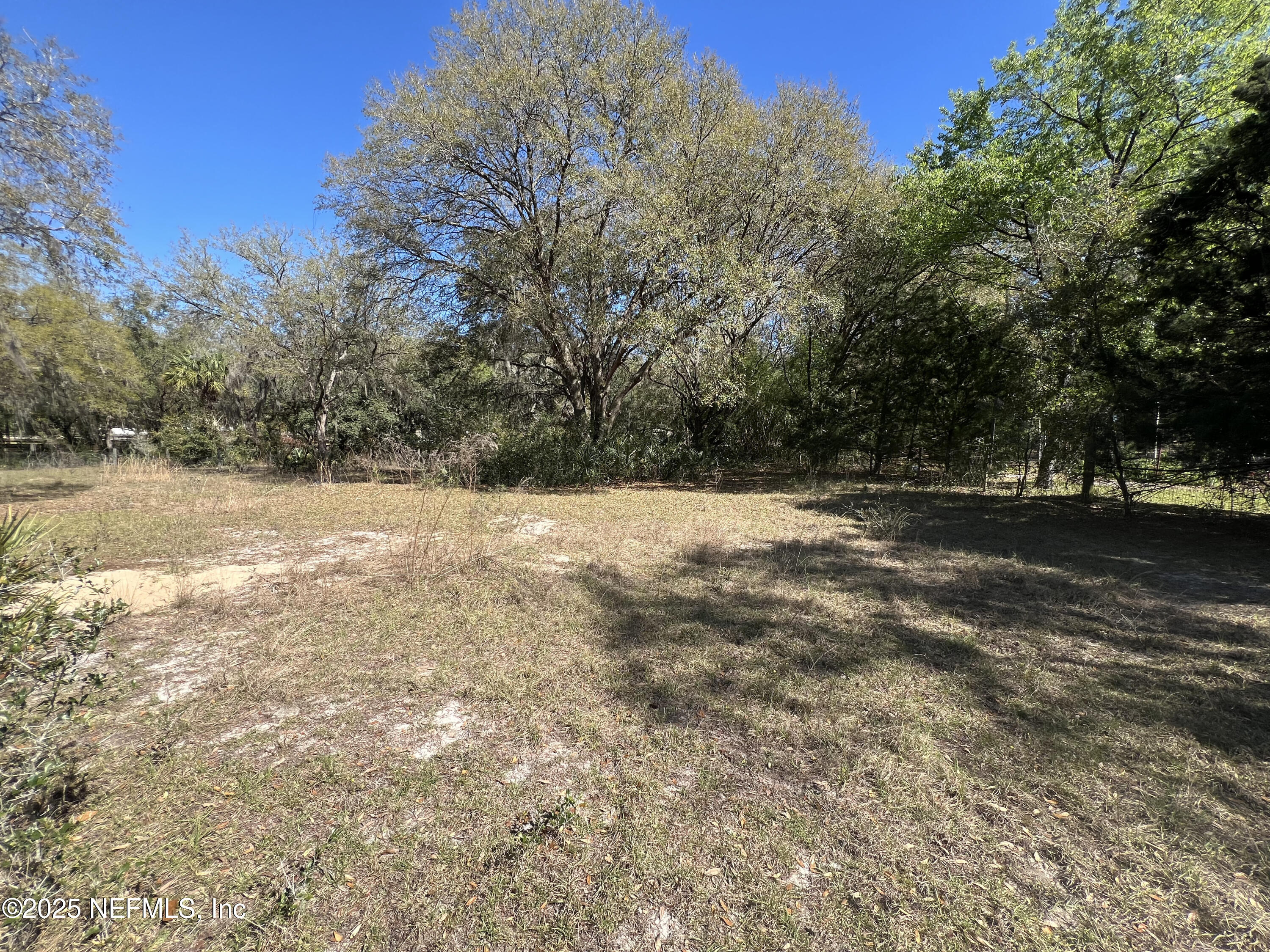 107-109 Dixie Street Hawthorne, FL 32640 - Photo 1 of 14 a view of outdoor space with trees