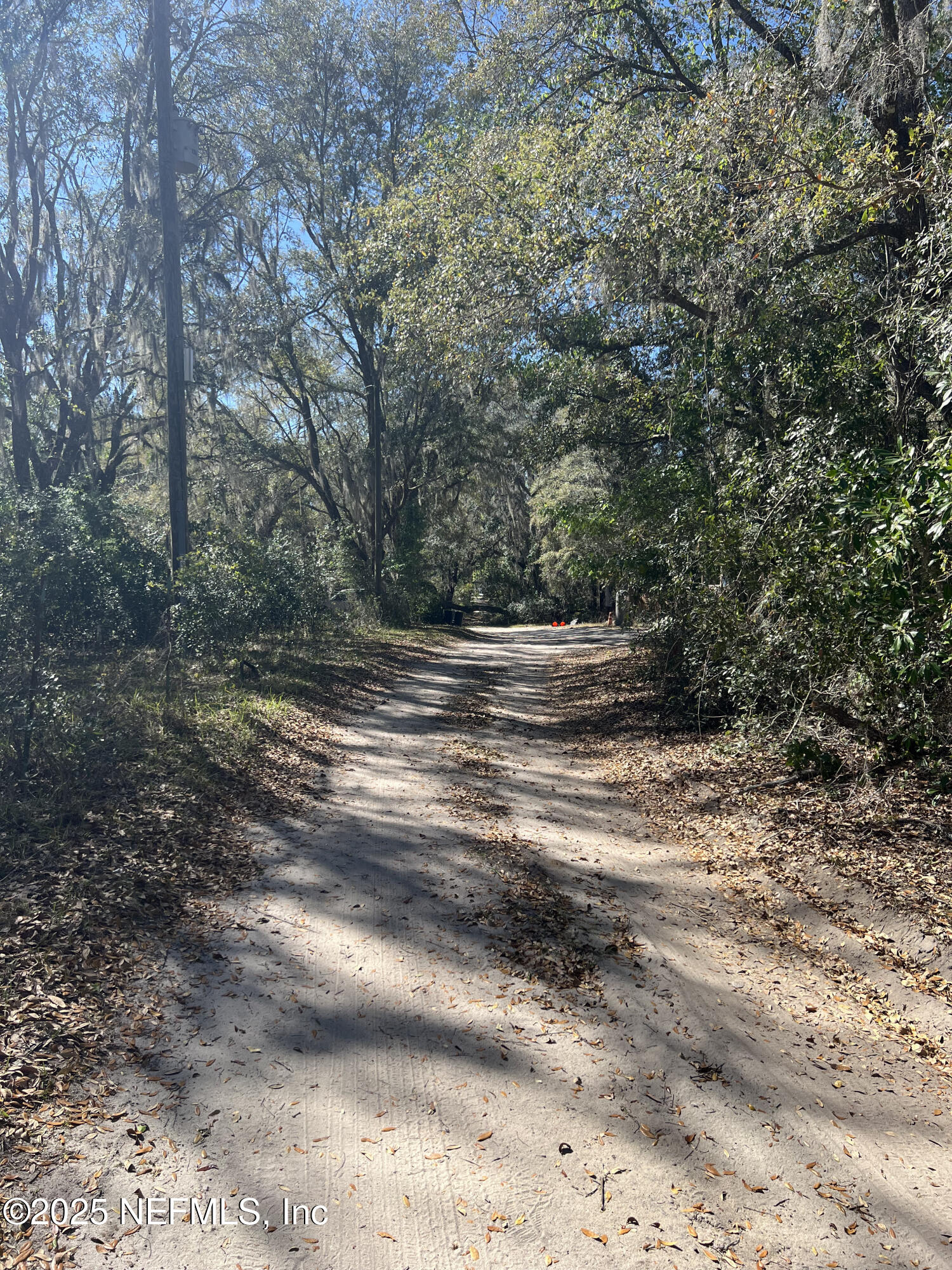 107-109 Dixie Street Hawthorne, FL 32640 - Photo 13 of 14 a view of dirt yard with a large tree