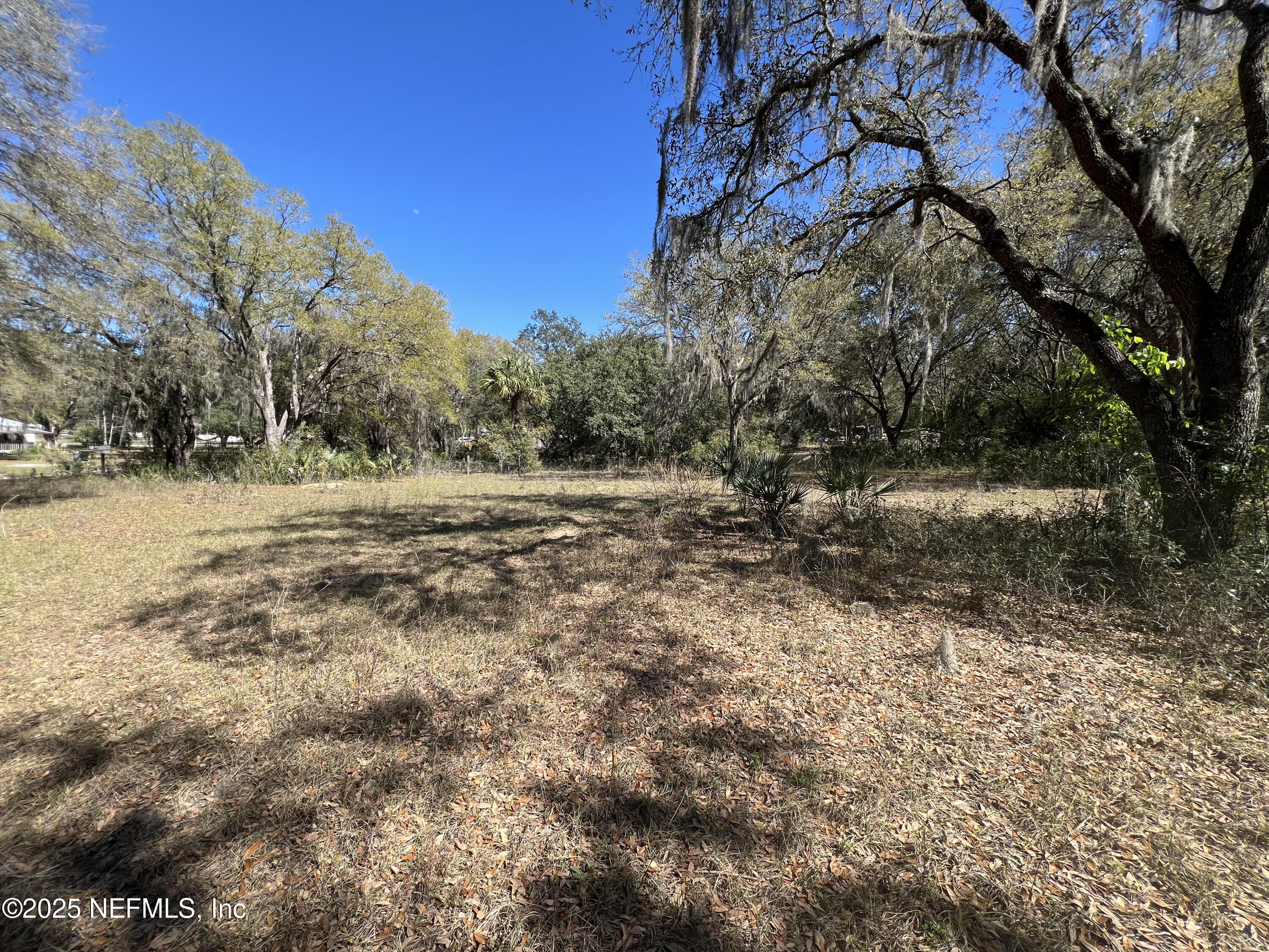 107-109 Dixie Street Hawthorne, FL 32640 - Photo 4 of 14 a view of dirt field with trees in the background