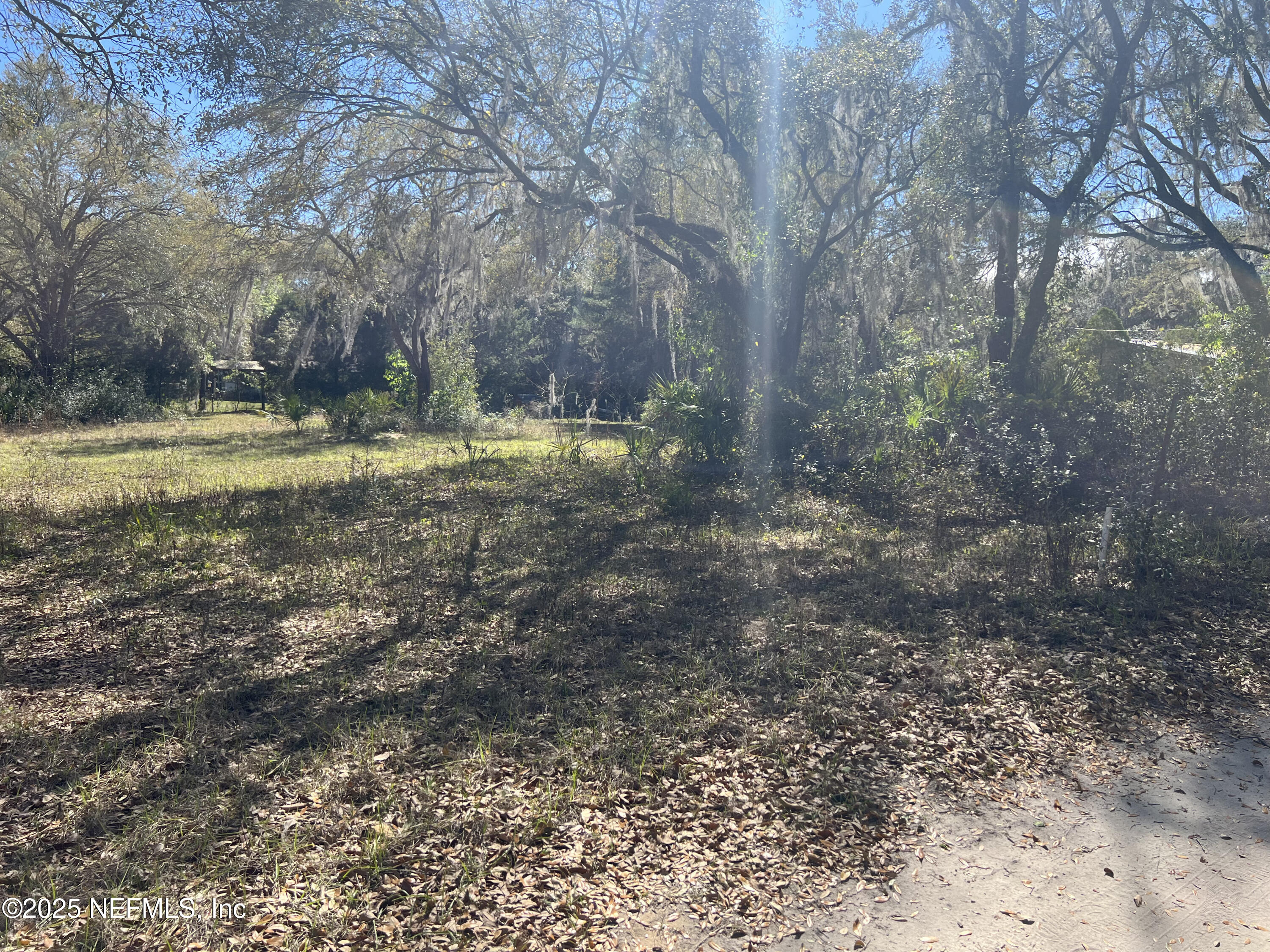 107-109 Dixie Street Hawthorne, FL 32640 - Photo 6 of 14 a view of a backyard with large trees