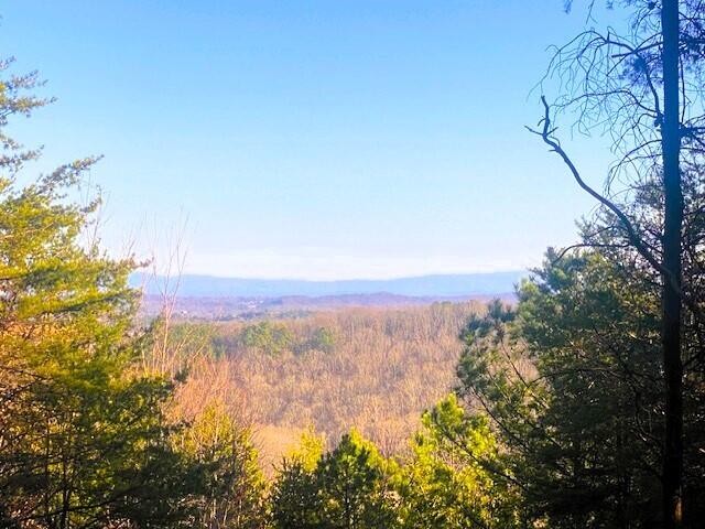 4 Owl Hollow Road McDonald, TN 37353 - Photo 13 of 20