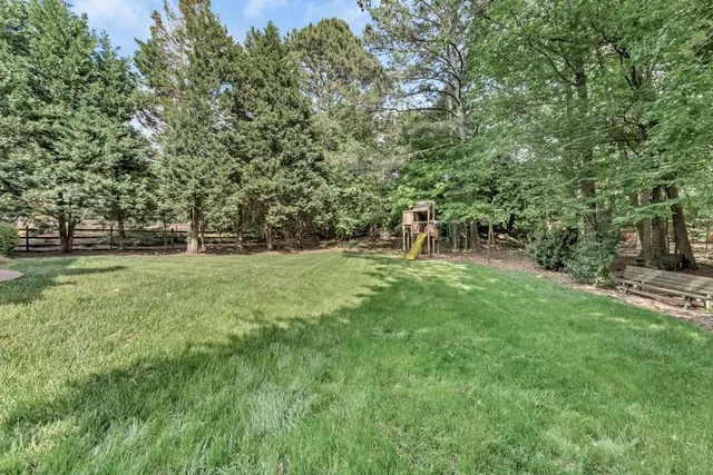 a view of a park with large trees