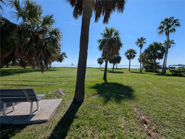 a view of a park with palm trees