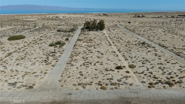 a view of a dry yard