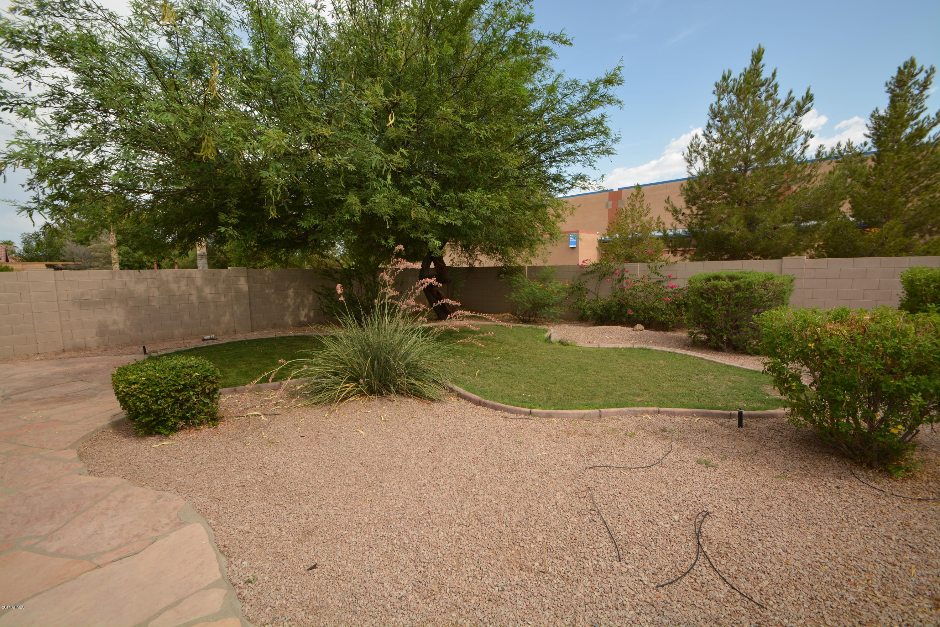869 East Appaloosa Road Gilbert, AZ 85296 - Photo 12 of 33 Back Yard 1