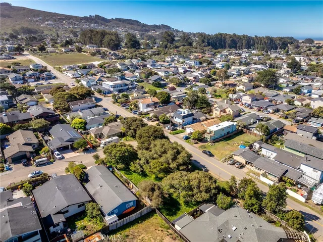an aerial view of residential houses with outdoor space and trees