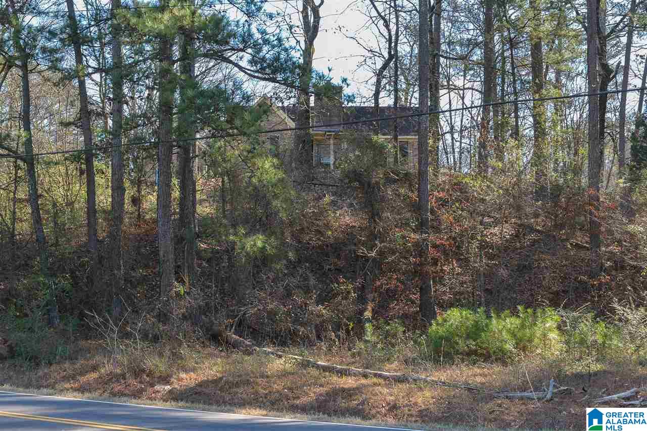247 Tarrant Road Gardendale, AL 35071 - Photo 29 of 50