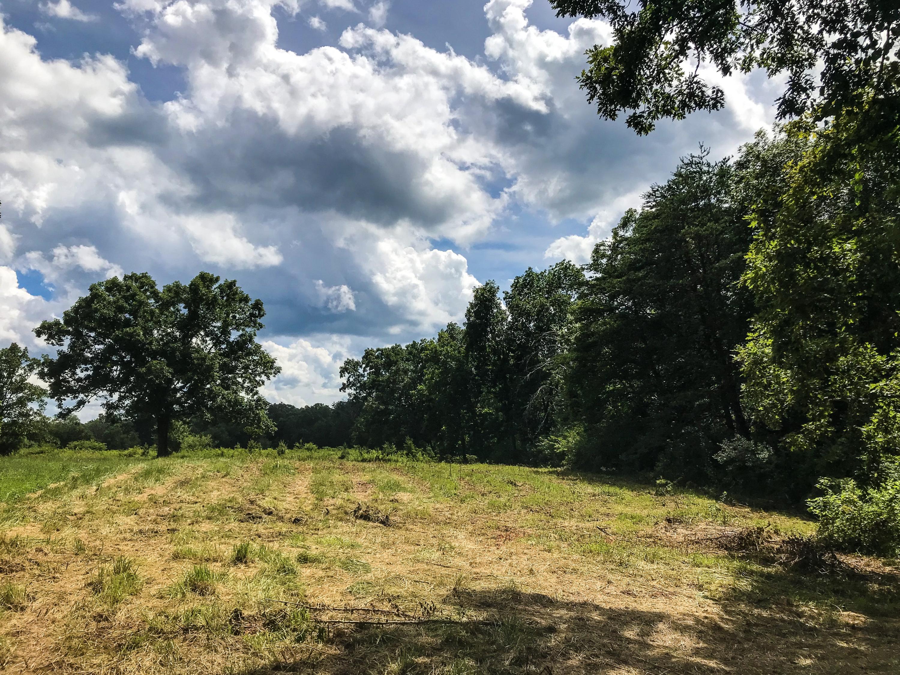Turner Road Crossville, TN 38555 - Photo 1 of 3 8C782EA1-B1CE-4FA6-9A3C-82E710437703