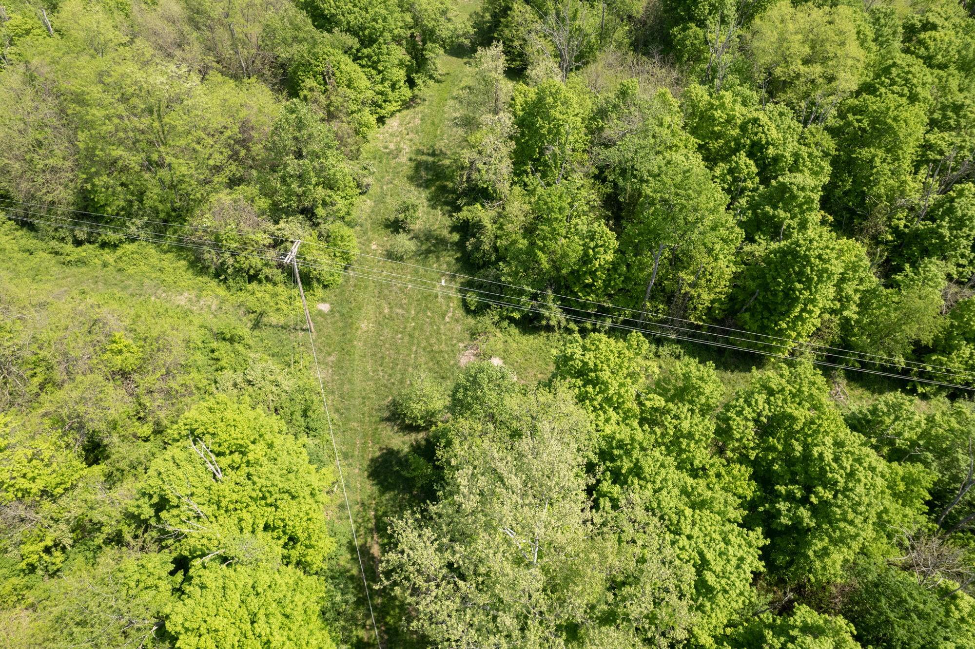 0 Possum Path Road Burlington, KY 41005 - Photo 7 of 16 Gallery Image 7
