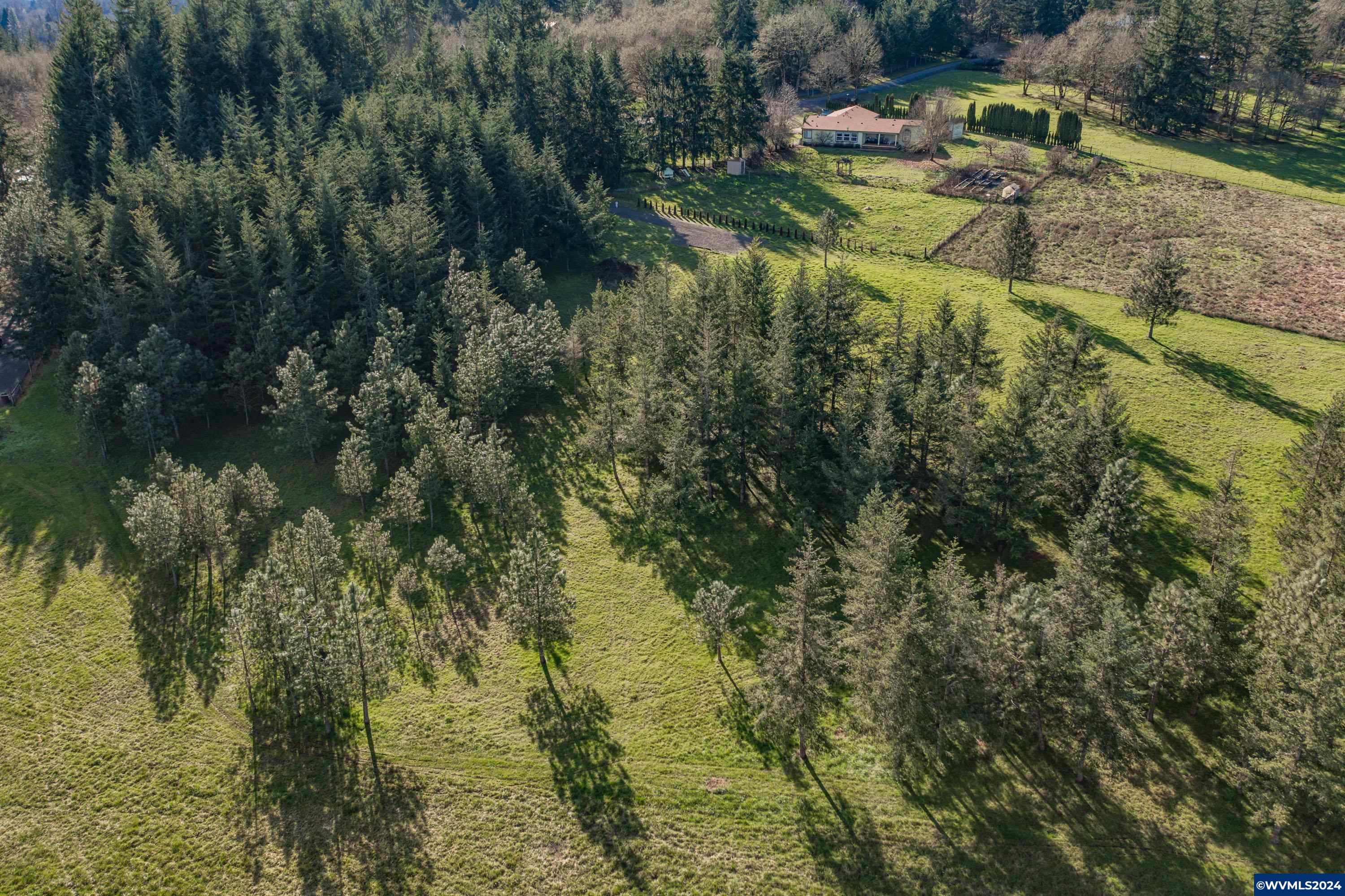 Buck Hill Lane Lebanon, OR 97355 - Photo 15 of 31