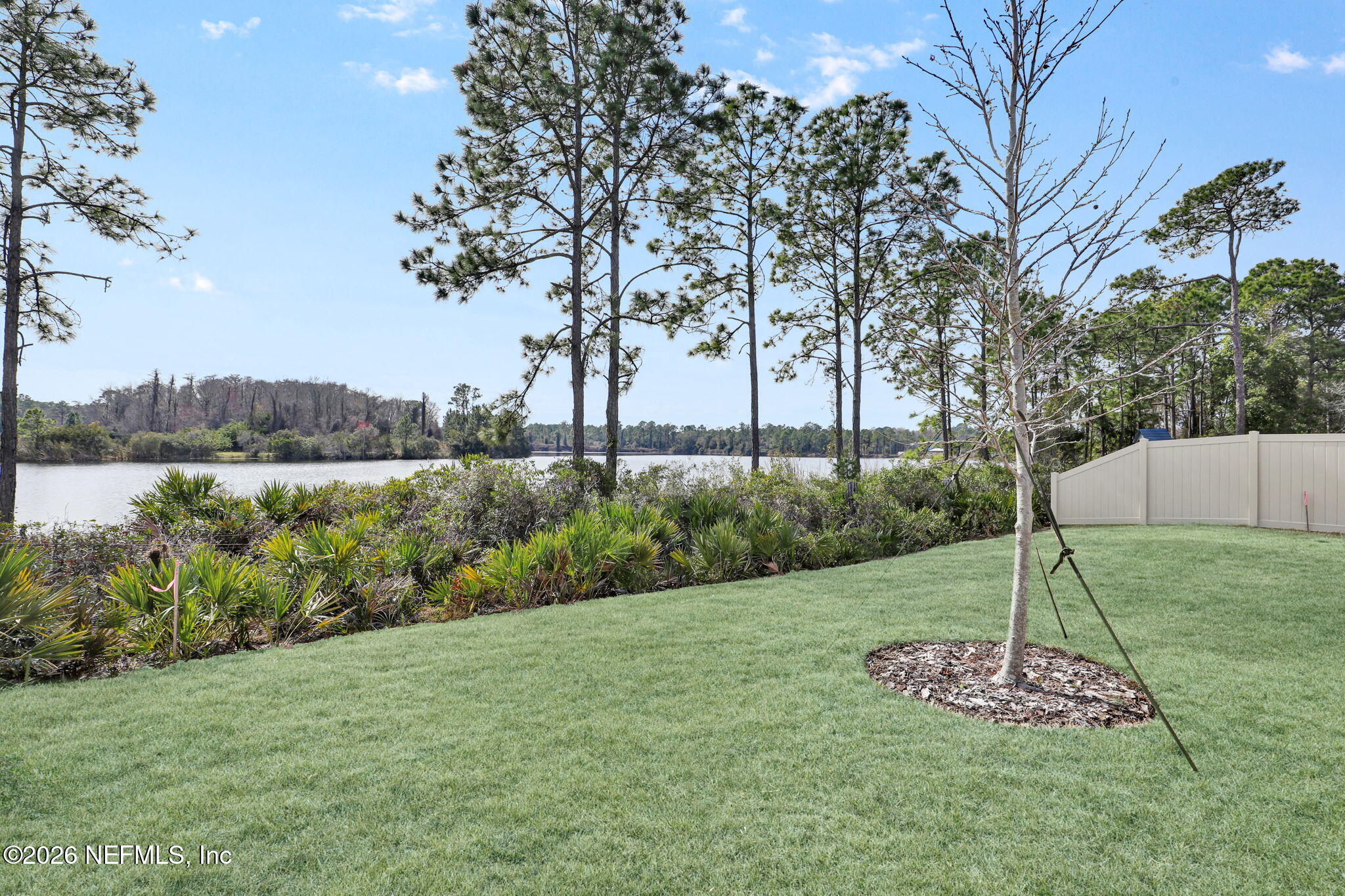 89 Kingsley Pk Way St. Augustine, FL 32084 - Photo 22 of 29 a backyard of a house with lots of green space