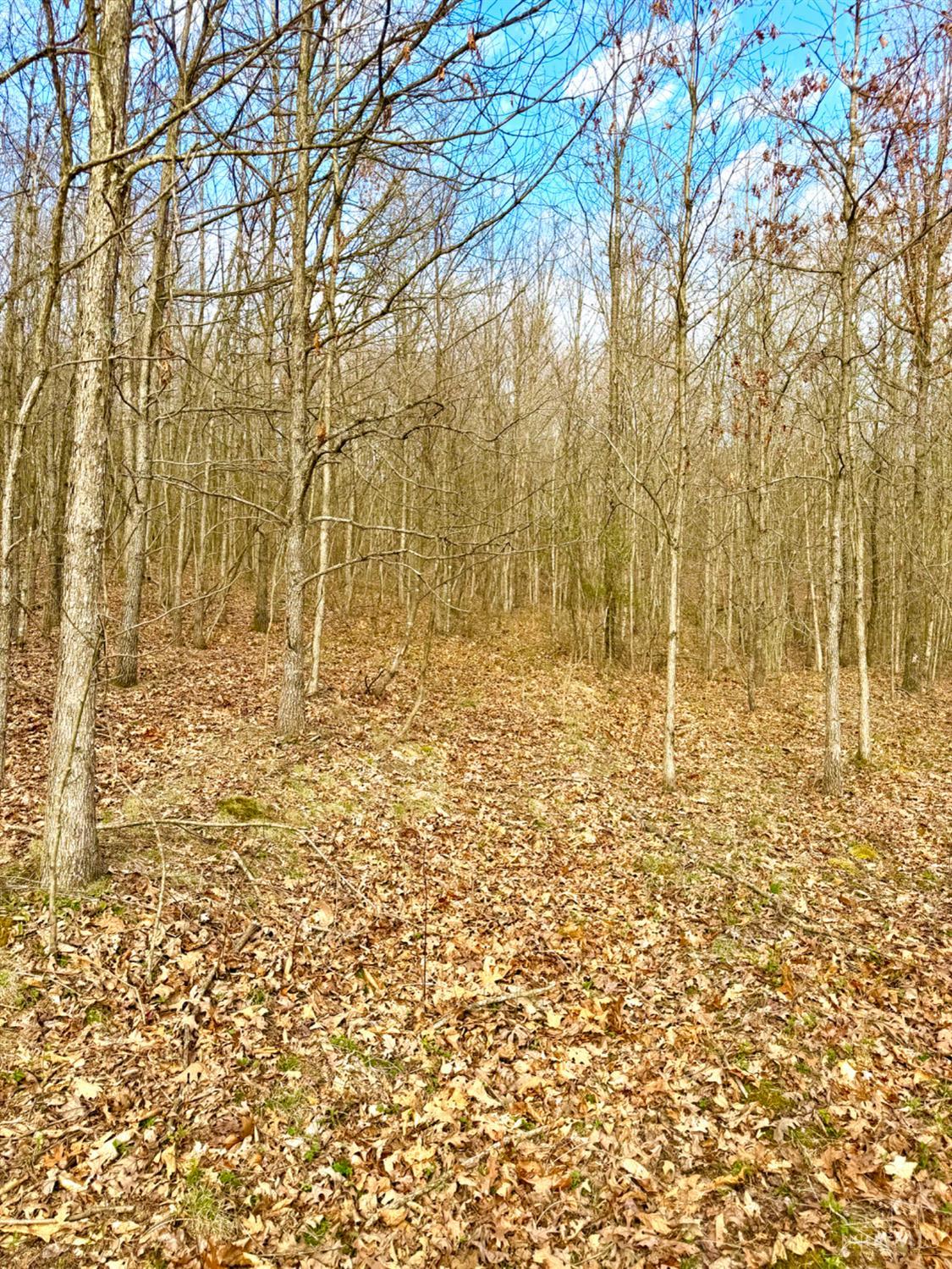 0 Fyffe Hollow Road Chillicothe, OH 45601 - Photo 52 of 96