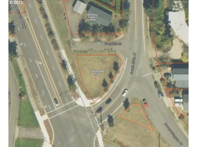 a open area with lots of trees