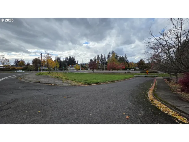 a black and white photo of a house