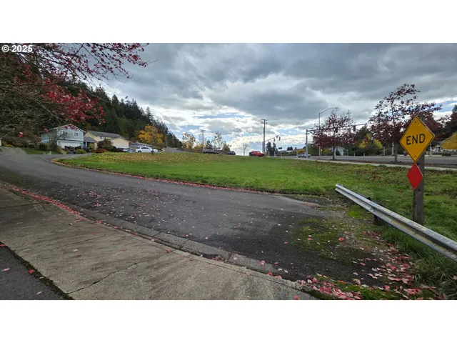 a open area with grassy field and trees