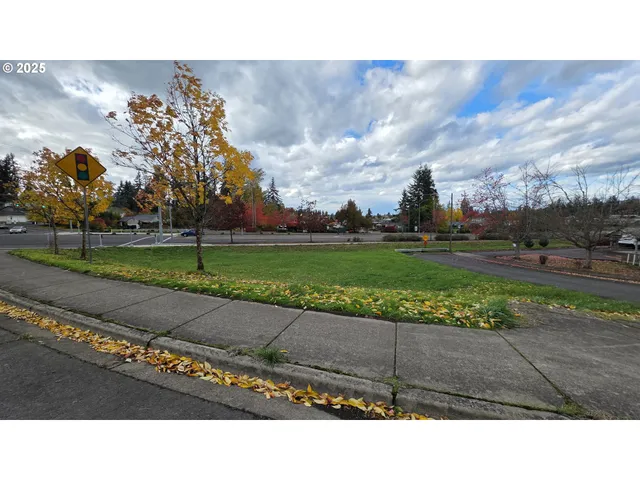 a black and white photo of a park