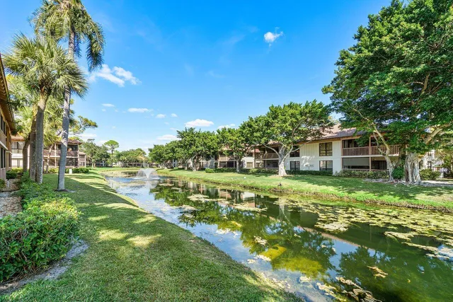 a view of a swimming pool with a garden and trees