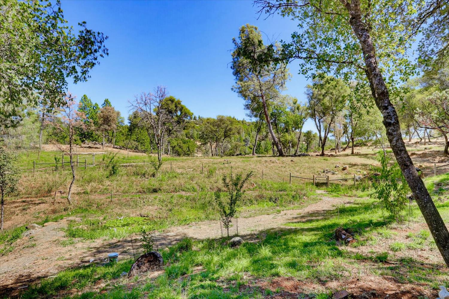 10411 Rough And Ready Road Rough and Ready, CA 95975 - Photo 46 of 96