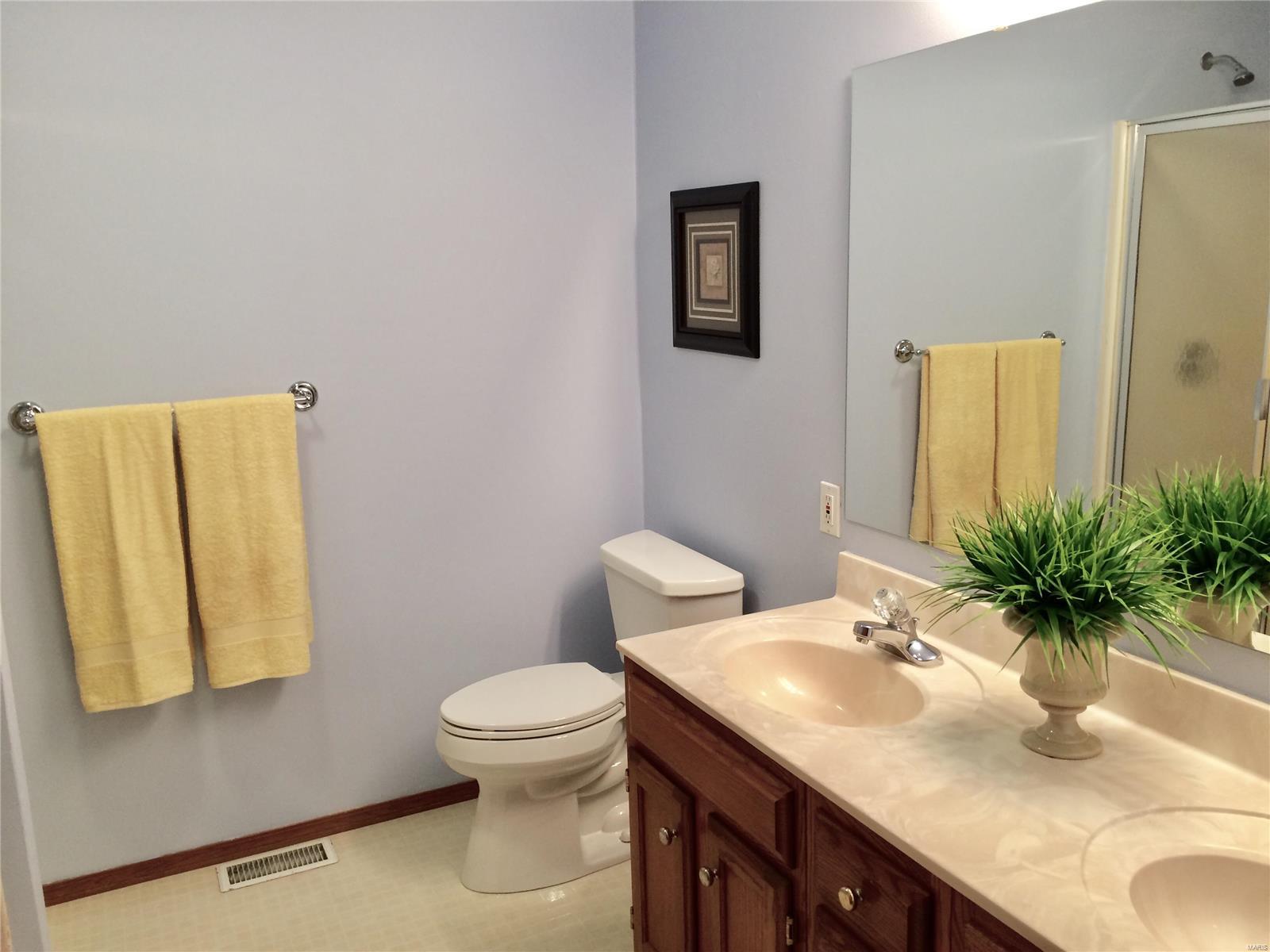 1209 Loblolly Court O'Fallon, IL 62269 - Photo 21 of 25