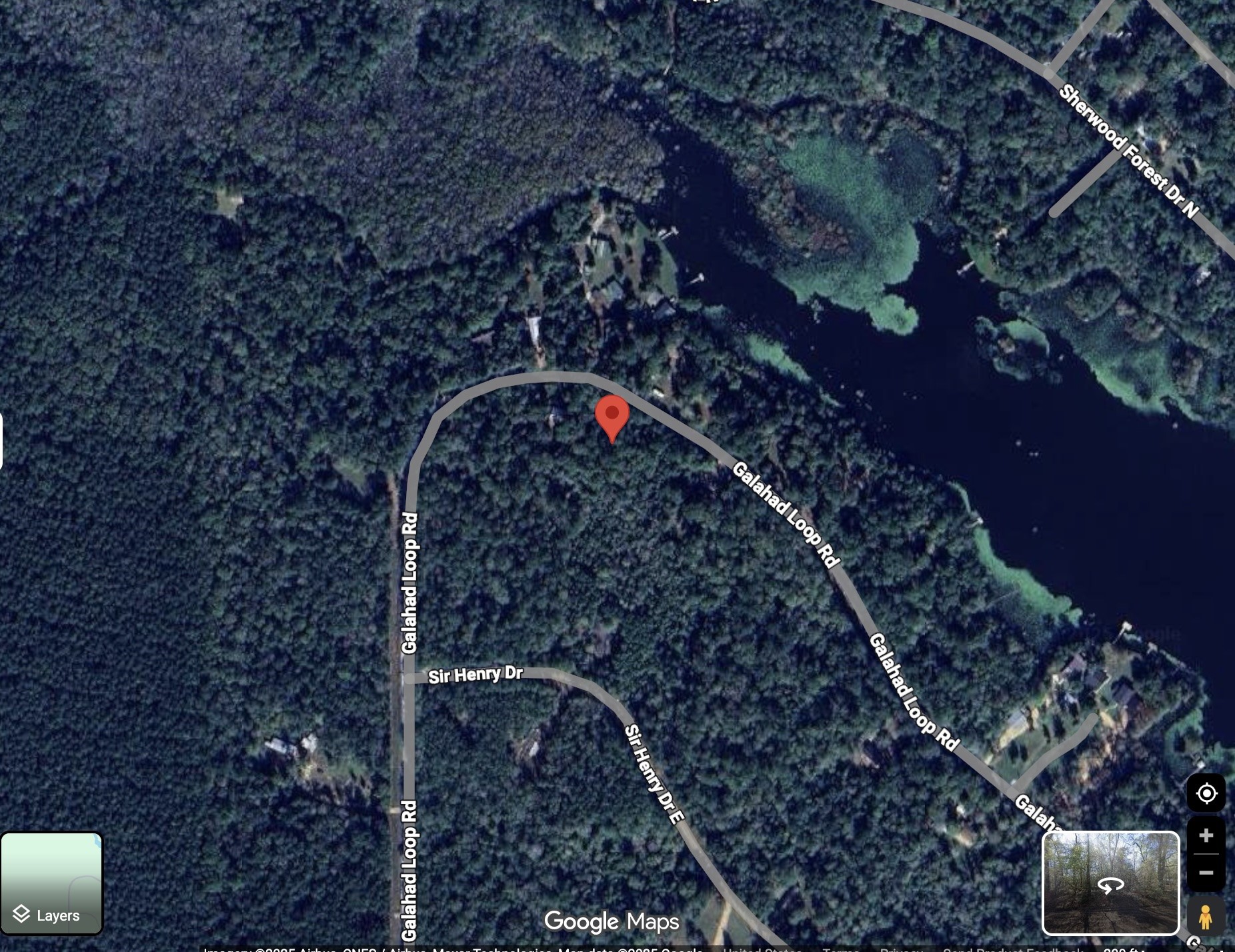 1045 Galahad Loop Road Ivanhoe, TX 75979 - Photo 6 of 6 a picture of tree