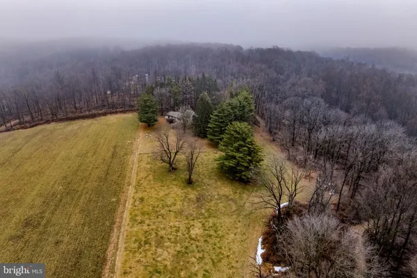 a view of a yard