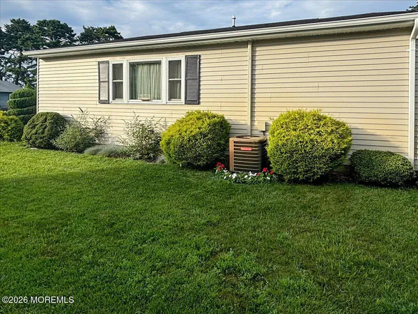 a view of a backyard with plants and large trees