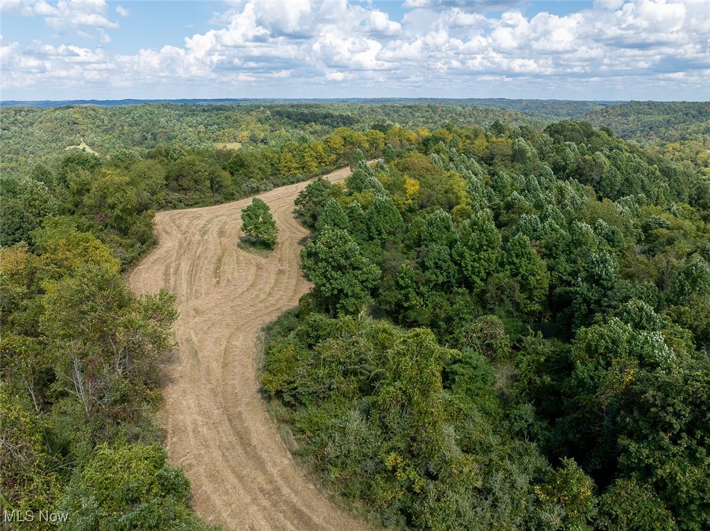 0 Rado Ridge Road Caldwell, OH 43724 - Photo 7 of 39 Gallery Image 7