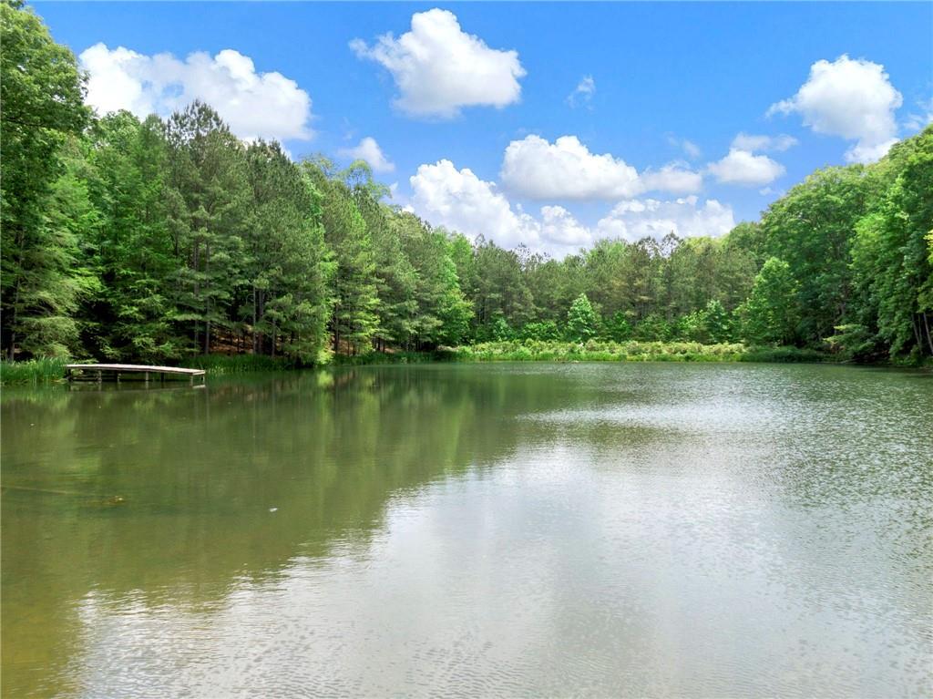 1402 Henderson Mountain Road Jasper, GA 30143 - Photo 14 of 74