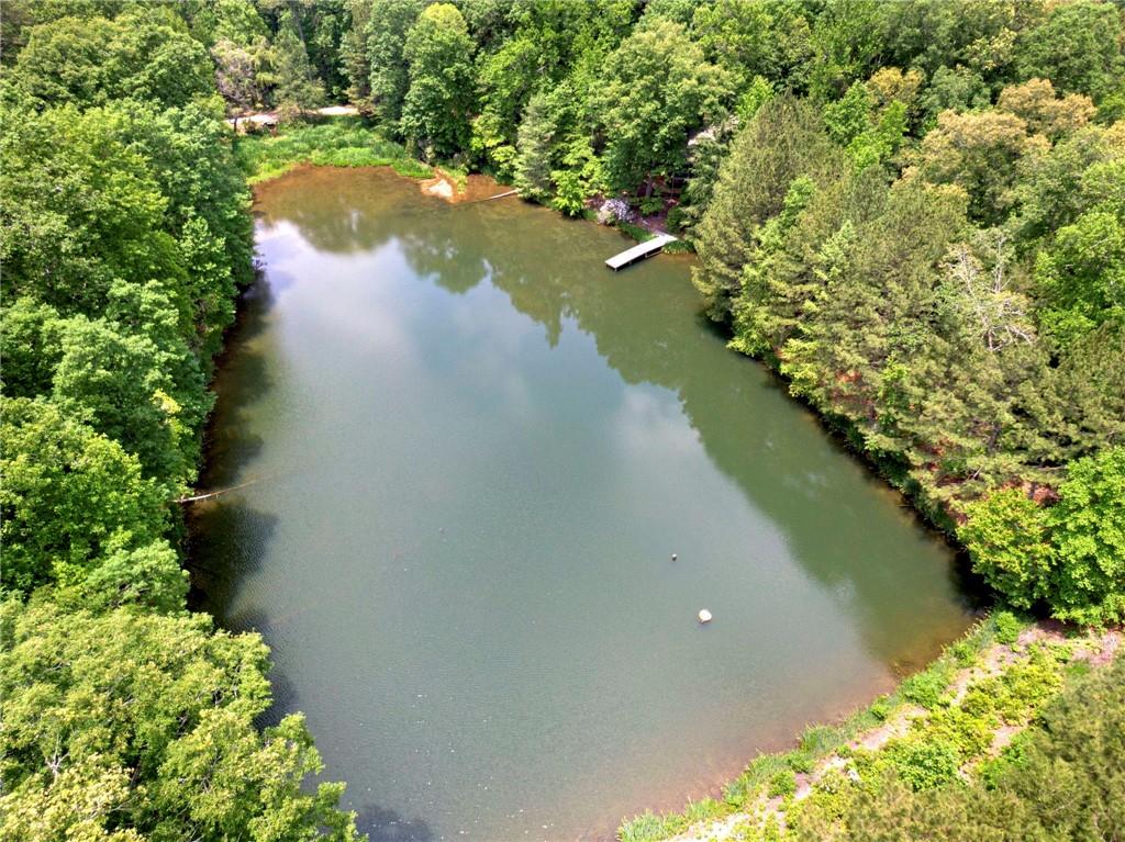 1402 Henderson Mountain Road Jasper, GA 30143 - Photo 16 of 74 a view of a lake with a yard and mountain view