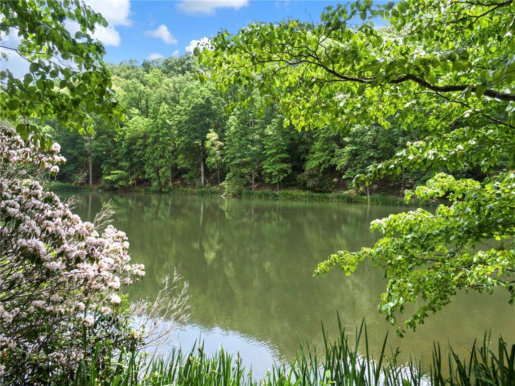 1402 Henderson Mountain Road Jasper, GA 30143 - Photo 17 of 74