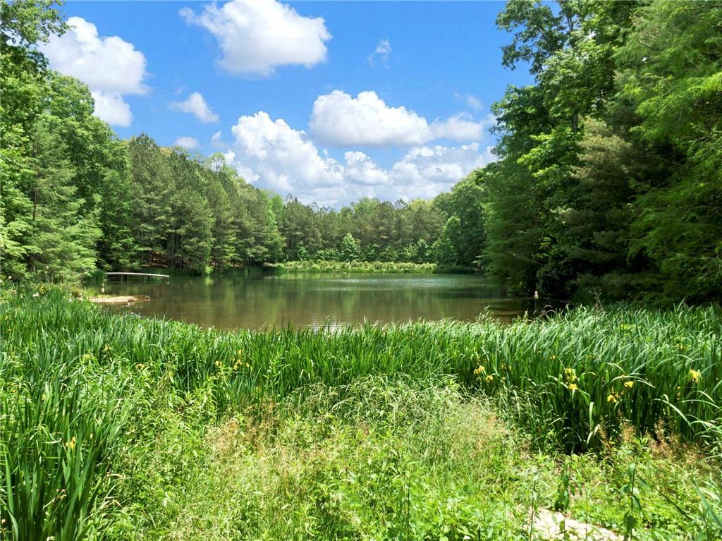 1402 Henderson Mountain Road Jasper, GA 30143 - Photo 19 of 74