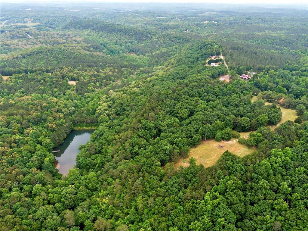 1402 Henderson Mountain Road Jasper, GA 30143 - Photo 2 of 74 a view of a city with lush green forest