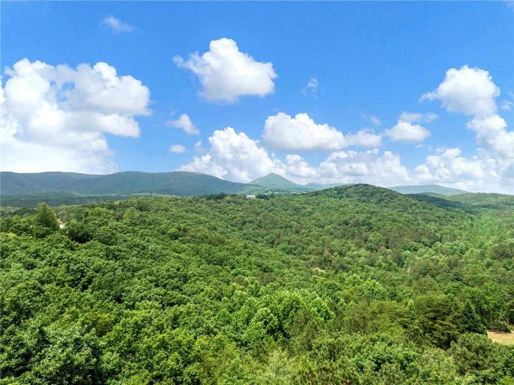 1402 Henderson Mountain Road Jasper, GA 30143 - Photo 21 of 74