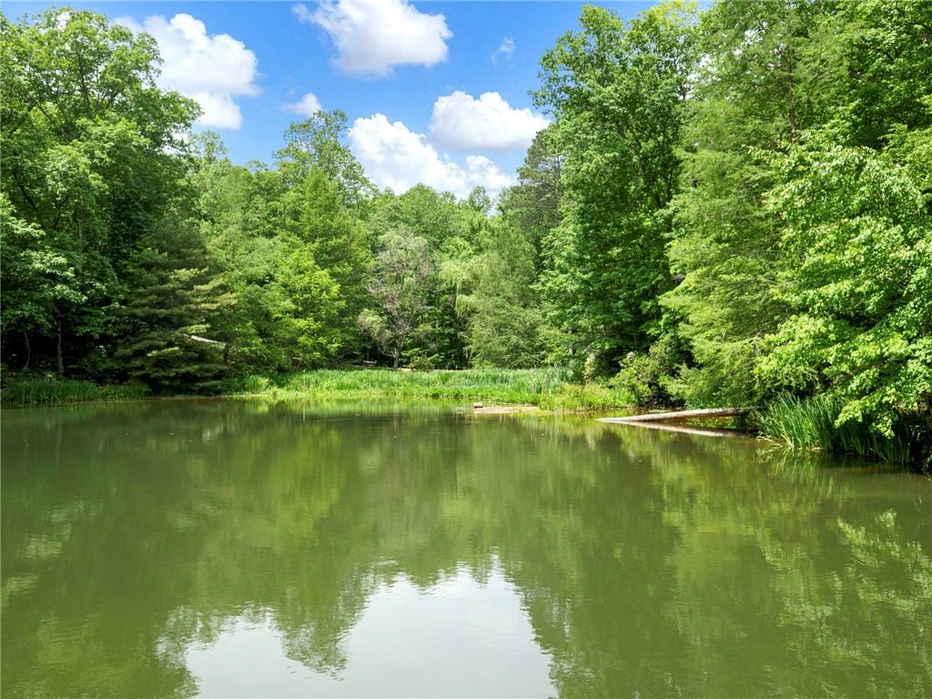 1402 Henderson Mountain Road Jasper, GA 30143 - Photo 3 of 74