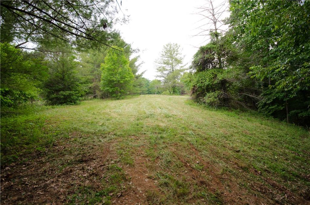 1402 Henderson Mountain Road Jasper, GA 30143 - Photo 66 of 74 a view of an outdoor space and a yard