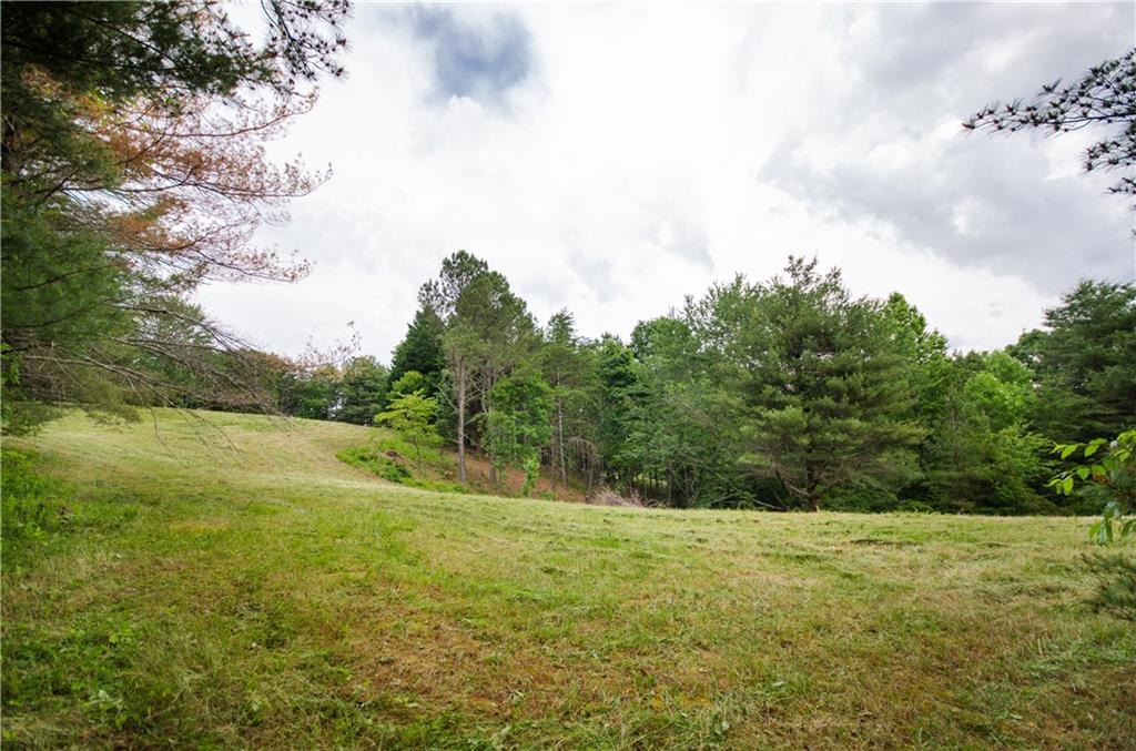 1402 Henderson Mountain Road Jasper, GA 30143 - Photo 69 of 74 a view of outdoor space and yard