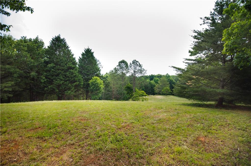 1402 Henderson Mountain Road Jasper, GA 30143 - Photo 70 of 74 a view of an outdoor space and a yard