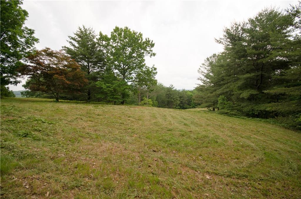 1402 Henderson Mountain Road Jasper, GA 30143 - Photo 71 of 74 a view of a field with an outdoor space