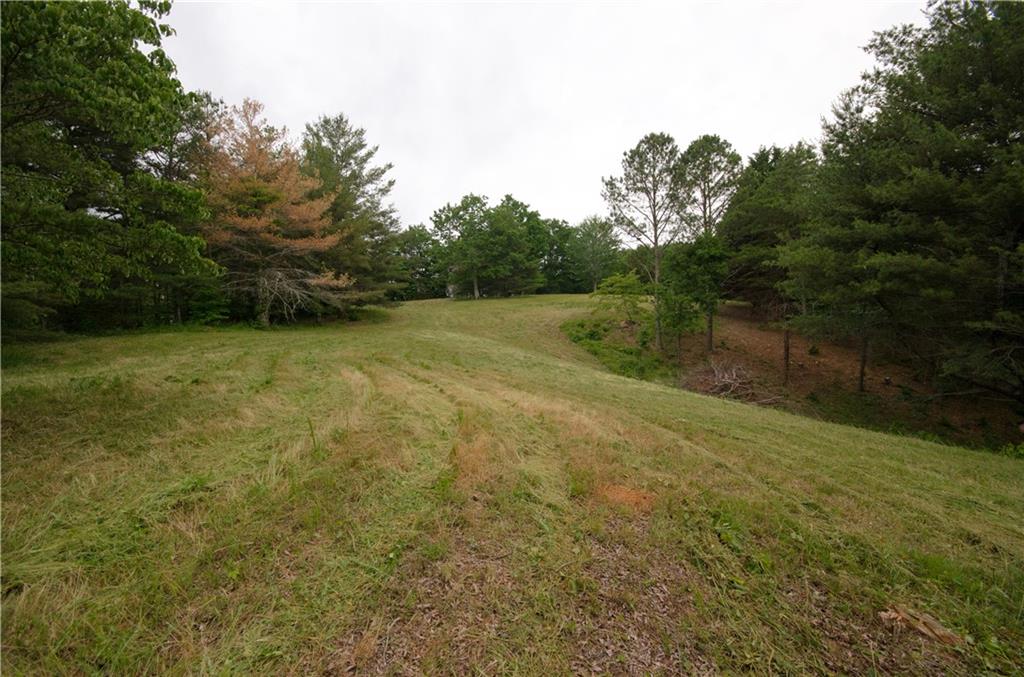 1402 Henderson Mountain Road Jasper, GA 30143 - Photo 72 of 74 a view of a field with trees in the background